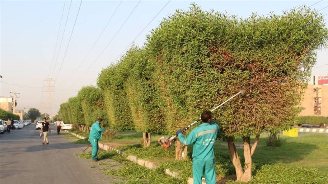 هرس باردهی و فرم دهی