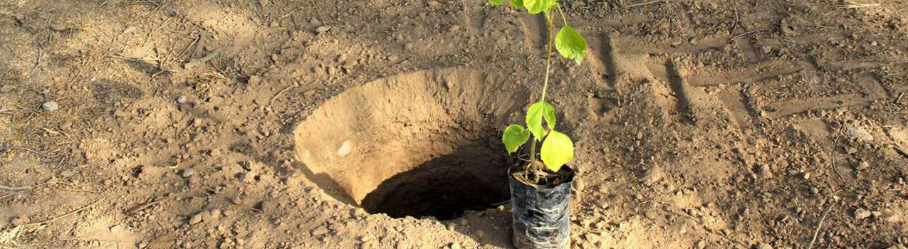 نحوه انجام چاله کاری اصولی